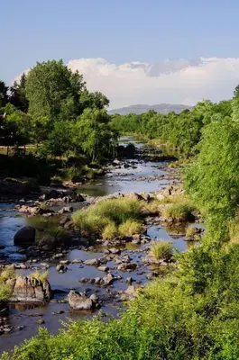 a river with rocks and trees on the side at Rumihuasi Apartamento in Los Reartes