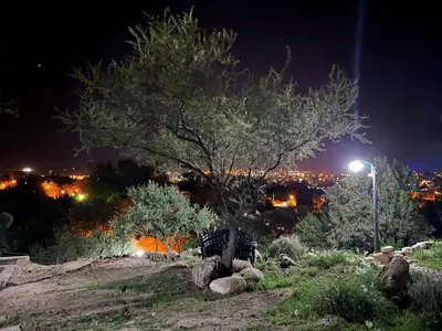 a tree on top of a hill at night at Mirador del Valle in Mina Clavero