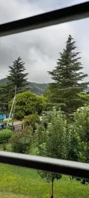 a view of a tree from a train window at Complejo 
