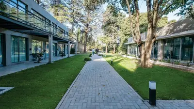 a walkway in front of a building with trees and grass at Calina Casa de Huéspedes in Villa General Belgrano