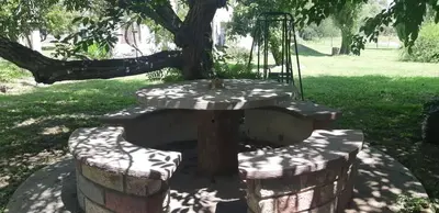 a tree sitting next to a stone bench under a tree at Doña Haydee in Las Tapias