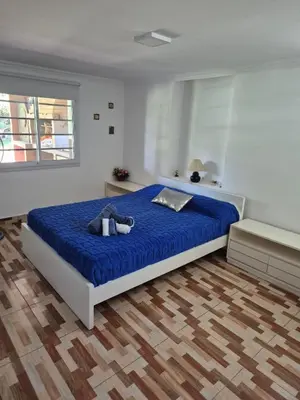 a bedroom with a large bed with a blue comforter at Doña Haydee in Las Tapias