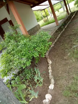 a garden with a bunch of plants and rocks at Hermoso Chalet en Nono in Nono