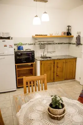 a kitchen with a table with a potted plant on it at COSTA COM Departamentos de Montaña in Merlo