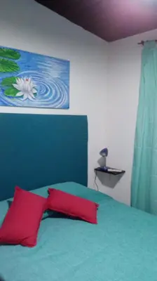 a bedroom with a bed with a red pillow at Departamento MT 2 Barrio Jardín in Cordoba