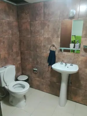 a bathroom with a toilet and a sink at Central Paz Hostel in Villa Carlos Paz