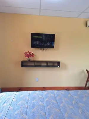 a bedroom with a bed with a tv on the wall at Apartamento Emir in Mina Clavero