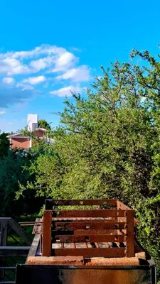 a wooden bench sitting in front of some trees at Apartamento Emir in Mina Clavero