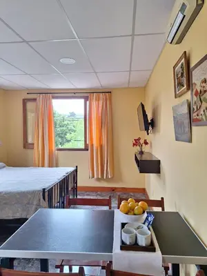 a room with a ping pong table and a bed at Apartamento Emir in Mina Clavero