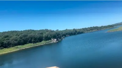 an aerial view of a large river with trees at Apart Las Palmeras Corcovado in Villa Rumipal