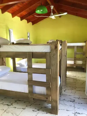 two bunk beds in a room with a green wall at Eirú Hostel in Santa Rosa de Calamuchita