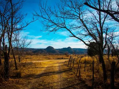 a dirt road in the middle of a field with trees at BoraBora in Nono