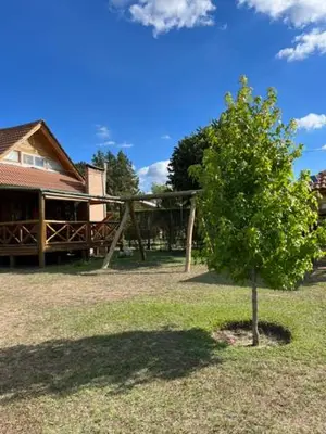 a tree in a yard next to a house at BoraBora in Nono