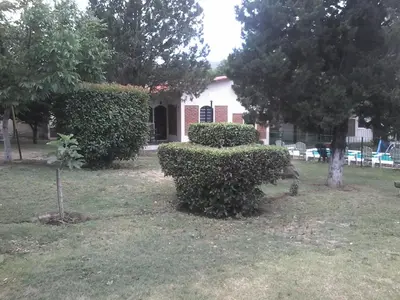 a bush sitting in the grass in front of a house at La Casa de Ana in Bialet Massé