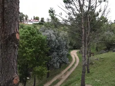 a dirt road with trees and a house on a hill at Gran casa del lago in Villa Ciudad de America