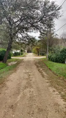 a dirt road with a tree on the side of it at El Tatu in La Bolsa