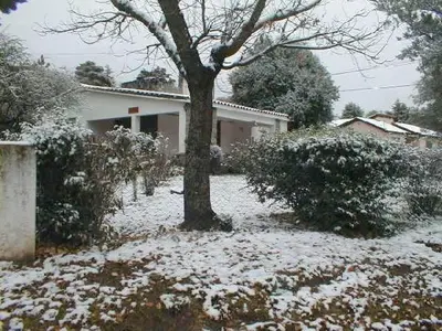 a snow covered yard with a tree and a house at El Tatu in La Bolsa