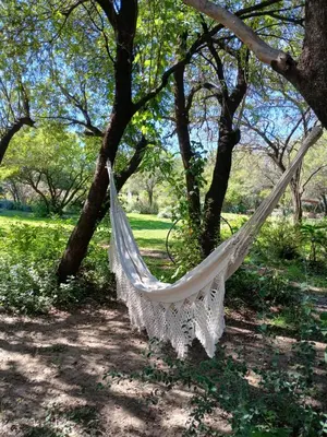a hammock hanging from a tree in a park at Varuna- en La Casa de Nanda in San Javier