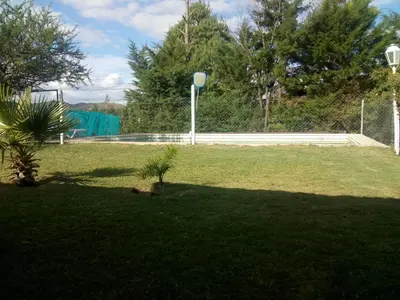a green yard with a palm tree in the grass at El Faro in Potrero de Garay
