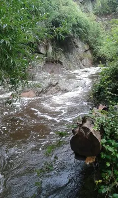 a stream of water with rocks and trees on a hill at VISTA FRANCA in La Cumbrecita