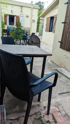a black cat sitting at a table with a cat sleeping at Benvinguts Casa y Apartamentos de 1 a 12 personas Pleno Centro Santa Rosa de Calamuchita in Santa Rosa de Calamuchita