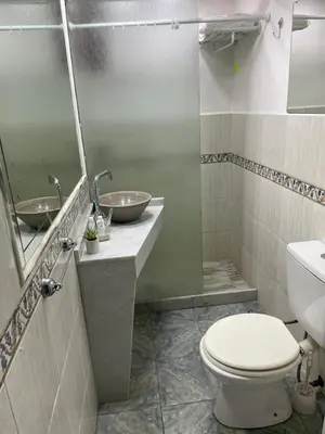 a bathroom with a toilet and a sink and a mirror at CERRO CHICO APART in Cordoba