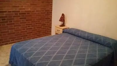 a bedroom with a blue bed with a brick wall at Departamentos Mina Clavero in Mina Clavero