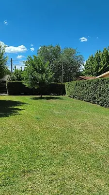a grassy yard with a stone fence and trees at La Casa de Elisa in Santa Rosa de Calamuchita