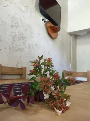 a vase of flowers on a table with a tv at El Amanecer in Santa Rosa de Calamuchita