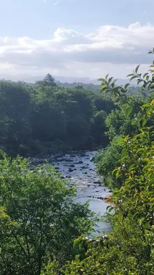 a river in the middle of a forest at Cabañas Santa Isabel in Santa Rosa de Calamuchita
