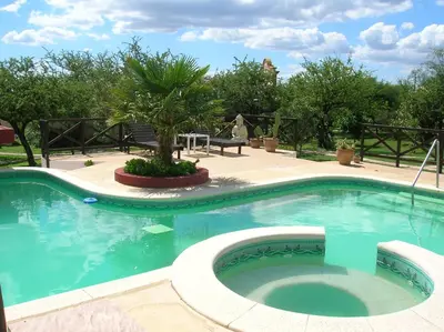 a swimming pool with a palm tree in the middle at Posada Los Antiguos-Adults Only in Merlo