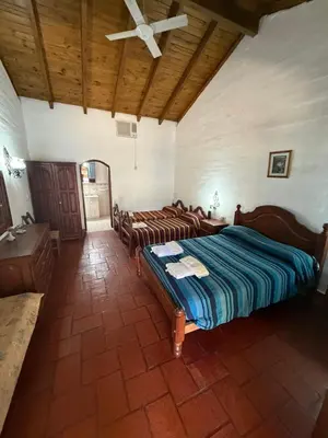 a bedroom with two beds and a ceiling at La Posta del Mistol in Las Tapias