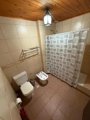 a bathroom with a toilet and a shower curtain at La Posta del Mistol in Las Tapias