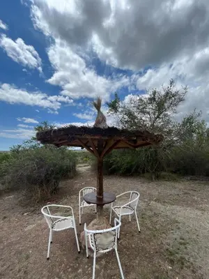 a bird sitting on top of a table with two chairs at Al Encuentro Casas de Montaña in Nono