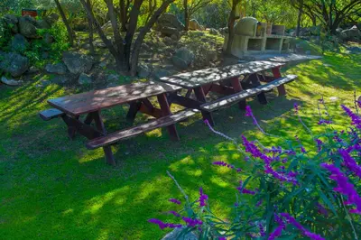 a wooden bench sitting in the grass with purple flowers at Complejo Vip Houses in Merlo