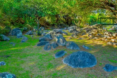 a pile of rocks in a garden with trees at Complejo Vip Houses in Merlo