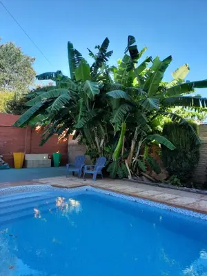 a swimming pool with two chairs and a palm tree at Hotel Gala in Villa Carlos Paz