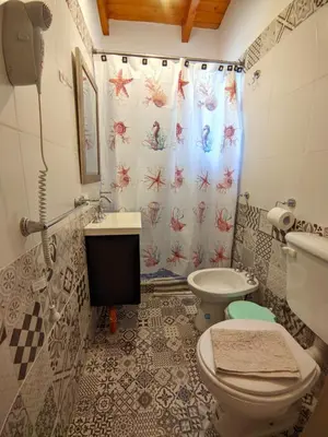 a bathroom with a toilet and a shower curtain at La Caballeriza habitación doble in Alta Gracia