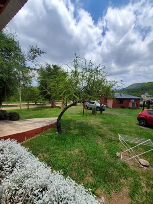 a tree in a yard with white flowers at Cabañas Rosaditas in Santa Rosa de Calamuchita