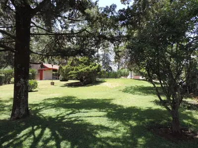 a green yard with trees and shadows on the grass at Hotel Samay Huasi in Villa General Belgrano