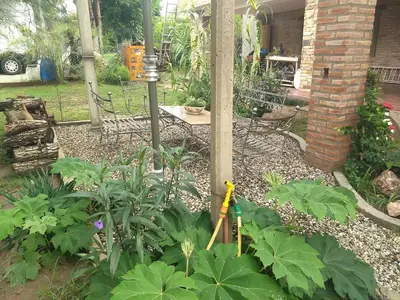 a garden with green plants and a pole at Los algarrobos in Villa Carlos Paz