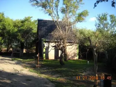 a house with a tree in front of it at Cabaña Tío Miguel in Los Molles
