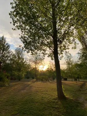 a tree in a field with the sunset in the background at El Camino Viejo Cabañas in Villa General Belgrano