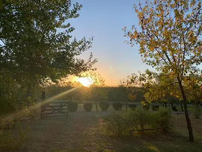 a sunset in a field with trees and a fence at El Camino Viejo Cabañas in Villa General Belgrano