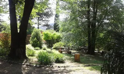 a park with a bench and trees and plants at Posada Shemak in Villa General Belgrano