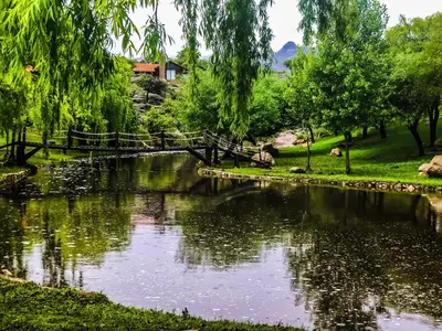 a bridge over a river in a park at Los Ancares Resort in Mina Clavero
