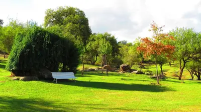 a park bench sitting in the grass near a tree at Los Ancares Resort in Mina Clavero