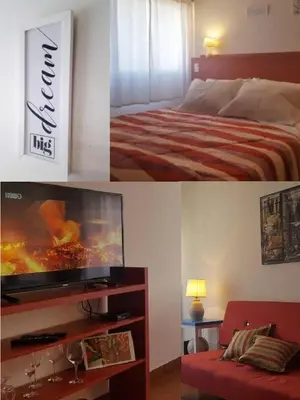 a bedroom with a bed and a tv and a couch at Alegre, luminoso y tranquilo en la mejor ubicación in Cordoba