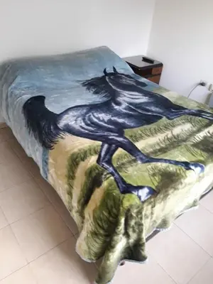 a bed with a painting of a horse on it at DUPLEX - COCHERA CUBIERTA in Cordoba