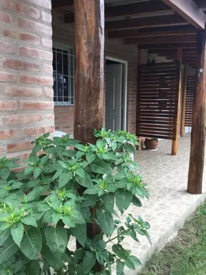 a plant in front of a house with a pole at La Soleada casas de campo in Nono